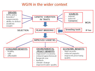 Diagram of WGIN in the Wider Context